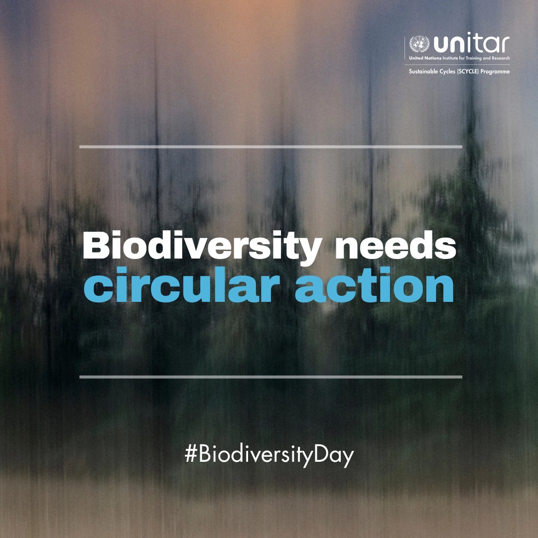 SCYCLE - Sustainable Cycles (@scycleunitar) on Twitter photo 🌿 On #BiodiversityDay, let’s not forget #ewaste.
Poor e-waste management pollutes ecosystems. Circular solutions like repair, reuse & recycling protect nature and health.
<a href="/scycleunitar/">SCYCLE - Sustainable Cycles</a> offers tools to support this shift:
👉 academy-ce.info 🌿 On #BiodiversityDay, let’s not forget #ewaste.
Poor e-waste management pollutes ecosystems. Circular solutions like repair, reuse & recycling protect nature and health.
<a href="/scycleunitar/">SCYCLE - Sustainable Cycles</a> offers tools to support this shift:
👉 academy-ce.info