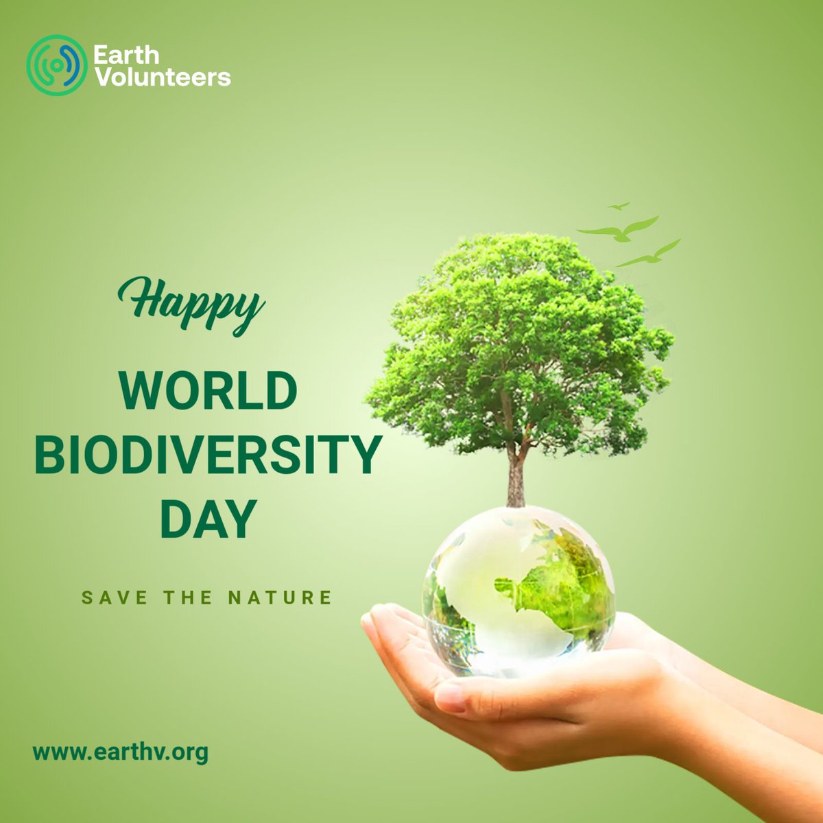 On #WorldBiodiversityDay, we're taking #ClimateAction to protect our planet's precious ecosystems.

Let's make every day a commitment to preserving biodiversity &amp; fighting climate change 🌳🫵
