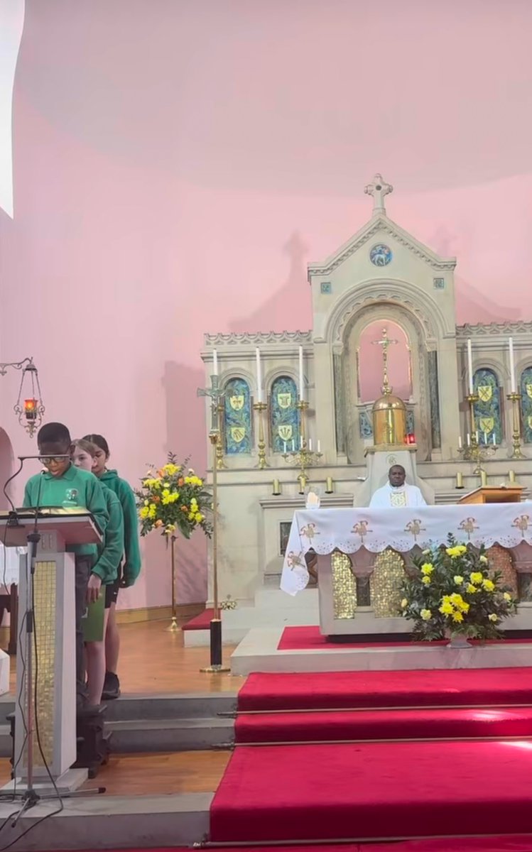 St Patrick's RC Primary School tweet media