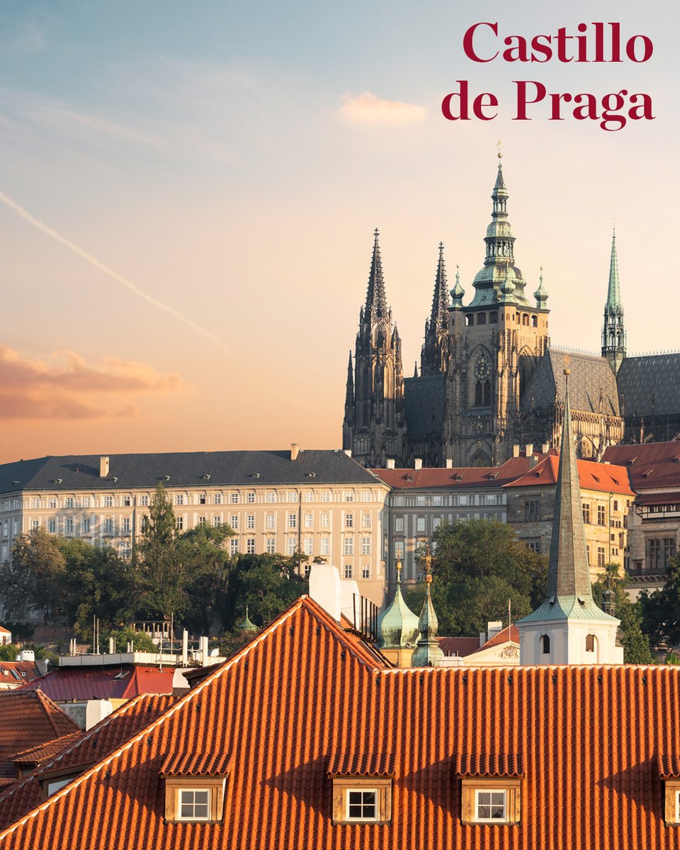 NHCollectionES's tweet image. ¿Buscas una escapada en familia? ✨ Explora el Castillo de Praga, visita el Laberinto de Espejos y disfruta del confort en NH Collection Prague Carlo IV🏰 ​

Descubre nuestro mundo en #MinorHotels ​

#NHCollection #NHCollectionExperience #EscapadaFamiliar #ViajaConNiños