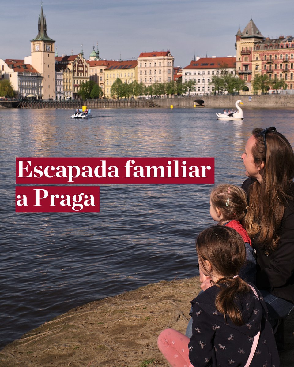 NHCollectionES's tweet image. ¿Buscas una escapada en familia? ✨ Explora el Castillo de Praga, visita el Laberinto de Espejos y disfruta del confort en NH Collection Prague Carlo IV🏰 ​

Descubre nuestro mundo en #MinorHotels ​

#NHCollection #NHCollectionExperience #EscapadaFamiliar #ViajaConNiños