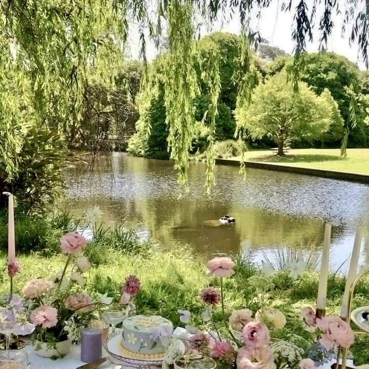 🩷✨️ wildflower tweet media