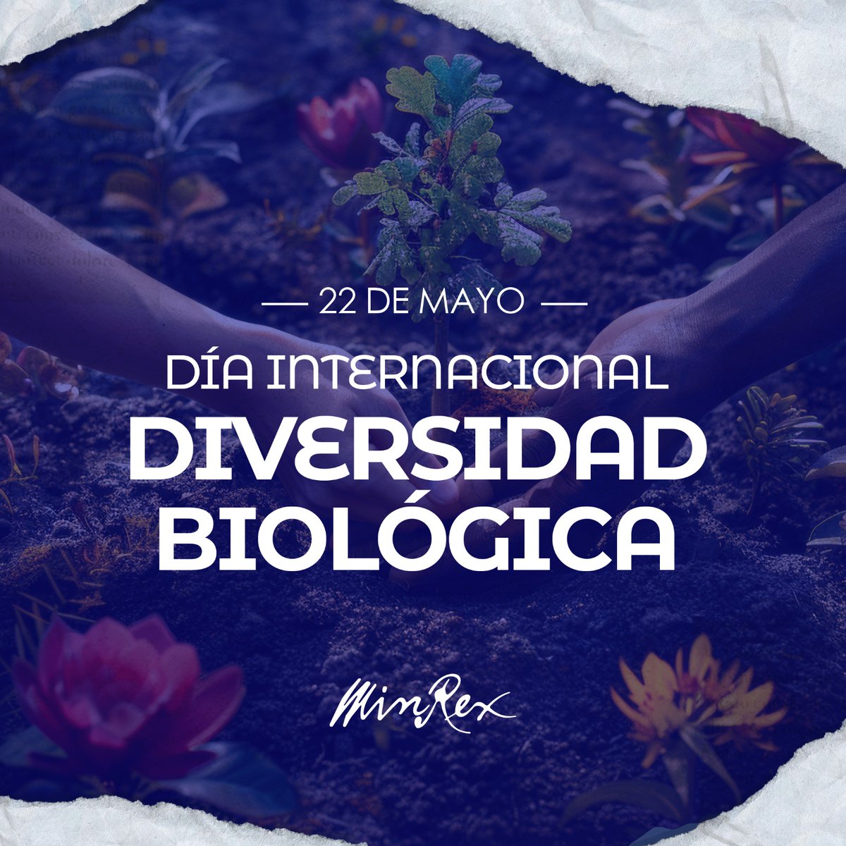 En Día Internacional Diversidad Biológica, reiteramos compromiso de #Cuba con protección de naturaleza y biodiversidad, reflejado en Plan Nacional sobre ese ámbito.

Urge cambio en niveles de consumo, explotación y contaminación ambiental que promueve sistema capitalista mundial.