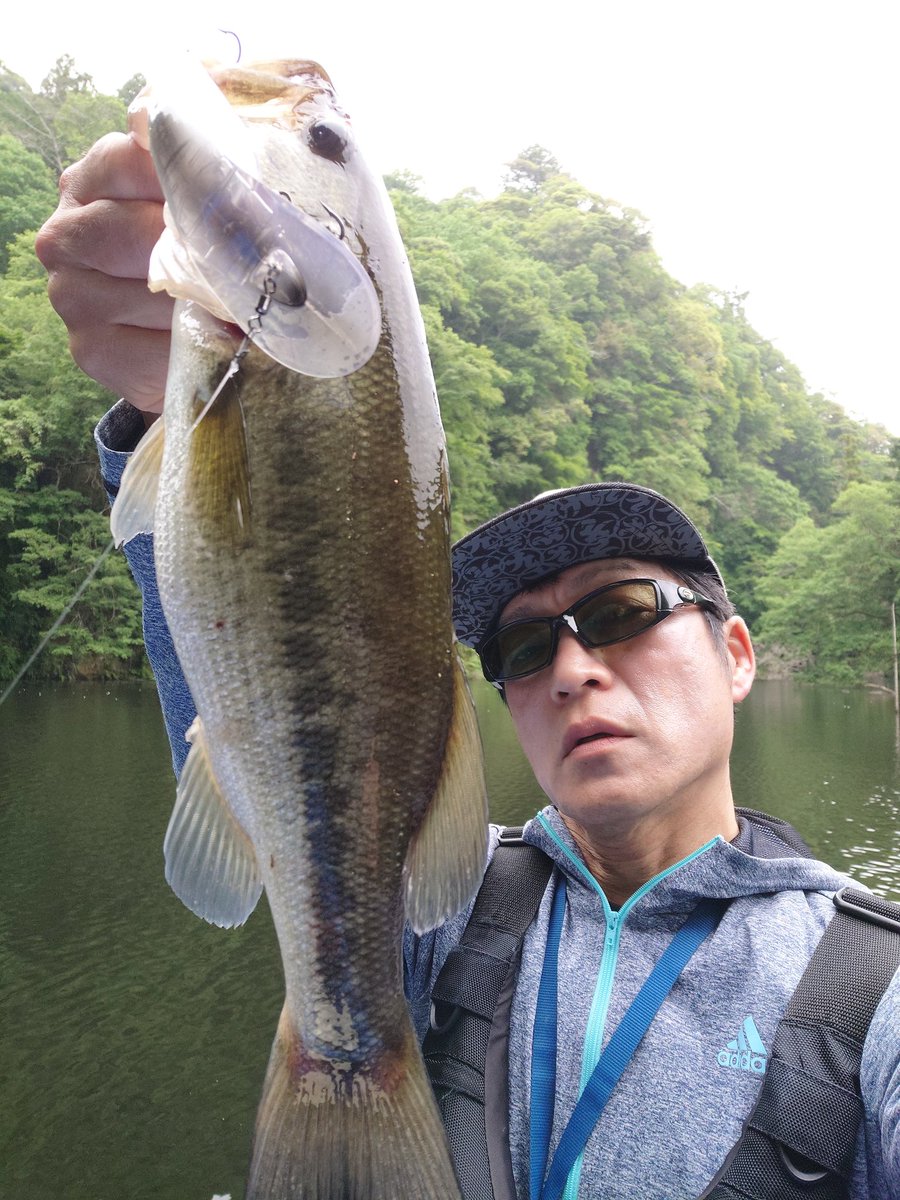 三島ダム　5月17日　小バス番外編
ぎり40には届かなかったものの、本日の「うれいしい1本」。
溺愛するマグナム・タドポリー…
おっと、いけね。
ダックビルにて。