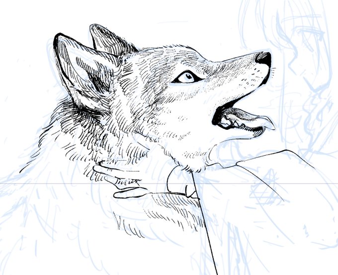 狼描くの楽しくてエロ漫画なの忘れてきた 