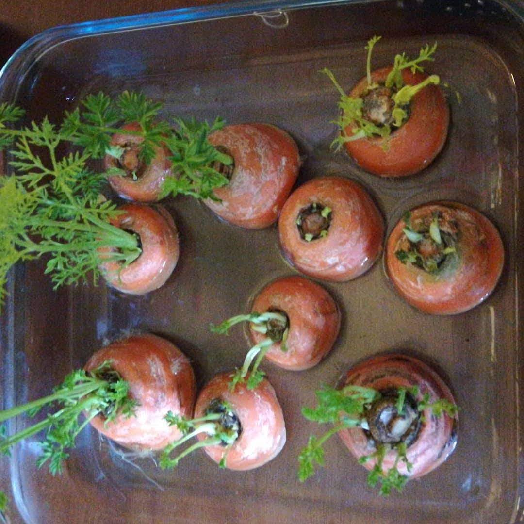 Esta imagen ( que tome de una abuela) siempre me llamo la atención.El cabo de la zanahoria sin su mitad su esencia en agua luego saco hojas. Es parte de la reconstrucción de la vida en la naturaleza.Todos son procesos,duelen,cuestan PERO ESTAMOS! #psicologosasfavide