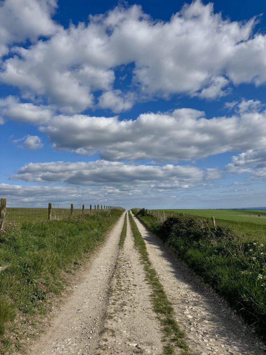 Bill Bailey tweet media