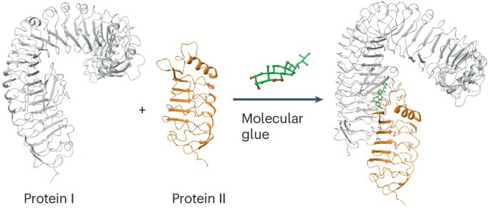 Nature Plants (@natureplants) on Twitter photo A recent review in <a href="/NatRevChem/">Nature Reviews Chemistry</a> : "The role and structure of molecular glues in plant signalling networks" - auxin, JA, BR, ABA, GA, fusicoccin, small peptides. An interesting perspective on plant molecular mechanisms. rdcu.be/em9B2 A recent review in <a href="/NatRevChem/">Nature Reviews Chemistry</a> : "The role and structure of molecular glues in plant signalling networks" - auxin, JA, BR, ABA, GA, fusicoccin, small peptides. An interesting perspective on plant molecular mechanisms. rdcu.be/em9B2