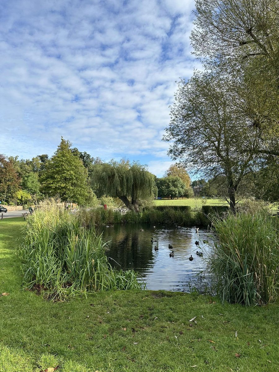 The Parish Council have received some very concerning reports of children using catapults to kill ducks around the duck pond in the village centre. If you have any information about this, please contact the police on 101 quoting reference 43250241390.