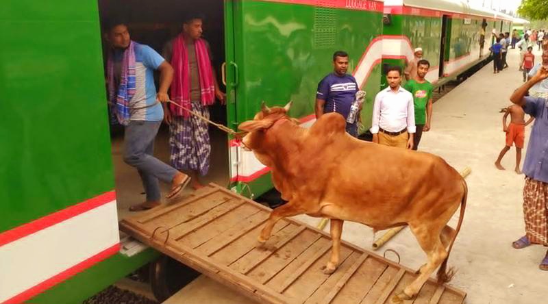 জামালপুর থেকে কোরবানির পশু পরিবহনে ৩টি ট্রেন চালাবে রেলওয়ে
