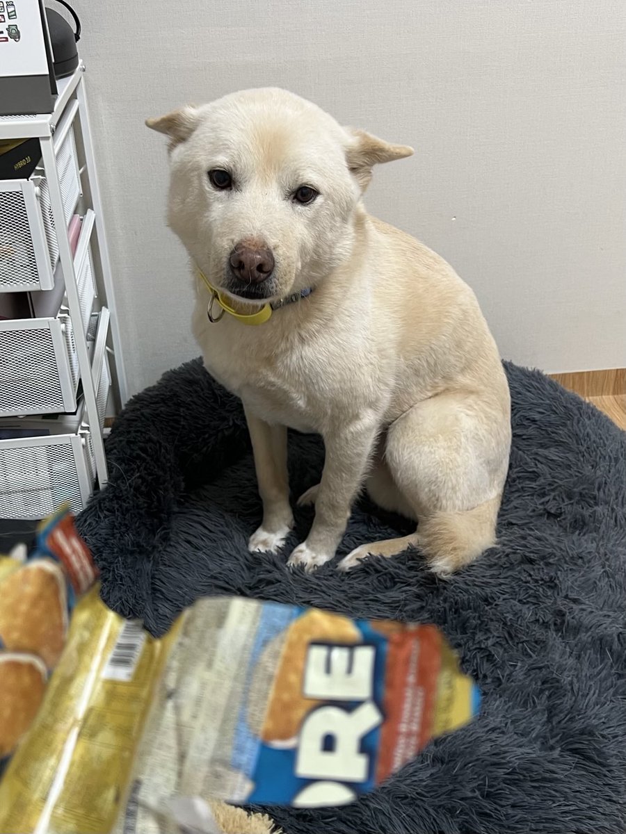 반성의 불룩이 동산