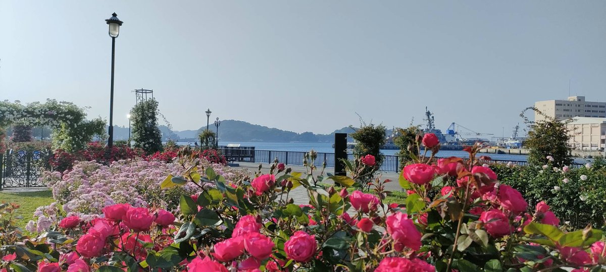 china_015's tweet photo. 横須賀
ヴェルニー公園を通り徒歩で“そのままどんつきの三笠公園で♪“
フェリーに乗り最終目的地の猿島へ
📸2025.5.20 https://t.co/Zyh5e0xcfd
