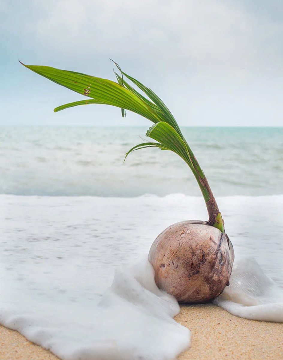 Ghideon Musa tweet media