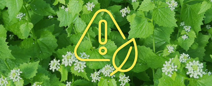 Long Point Basin Land Trust tweet media