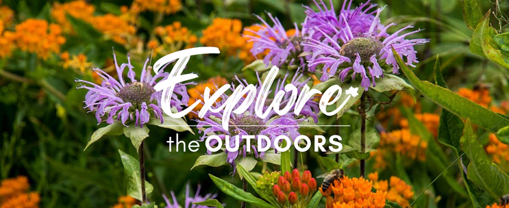 Long Point Basin Land Trust tweet media