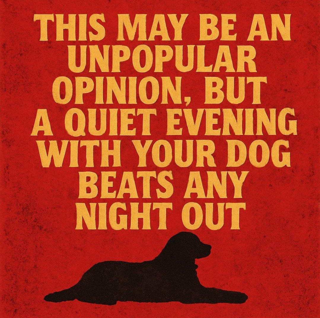manojg89's tweet photo. Nothing beats a quiet evening with your dog! 🐶 Pure joy, loyal vibes, and no drama—perfect recipe for peace! #DogLife #ChasingCalm https://t.co/PWwJq09J6A