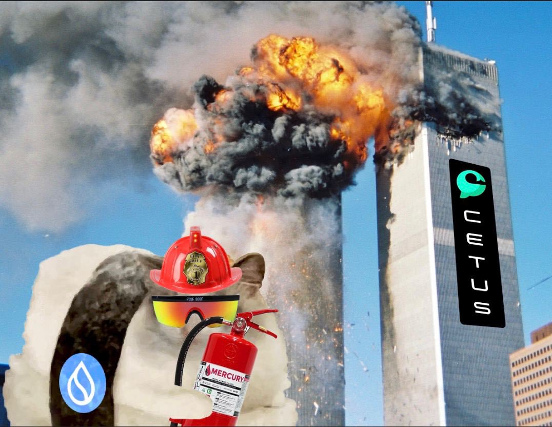 Suishicat tweet media
