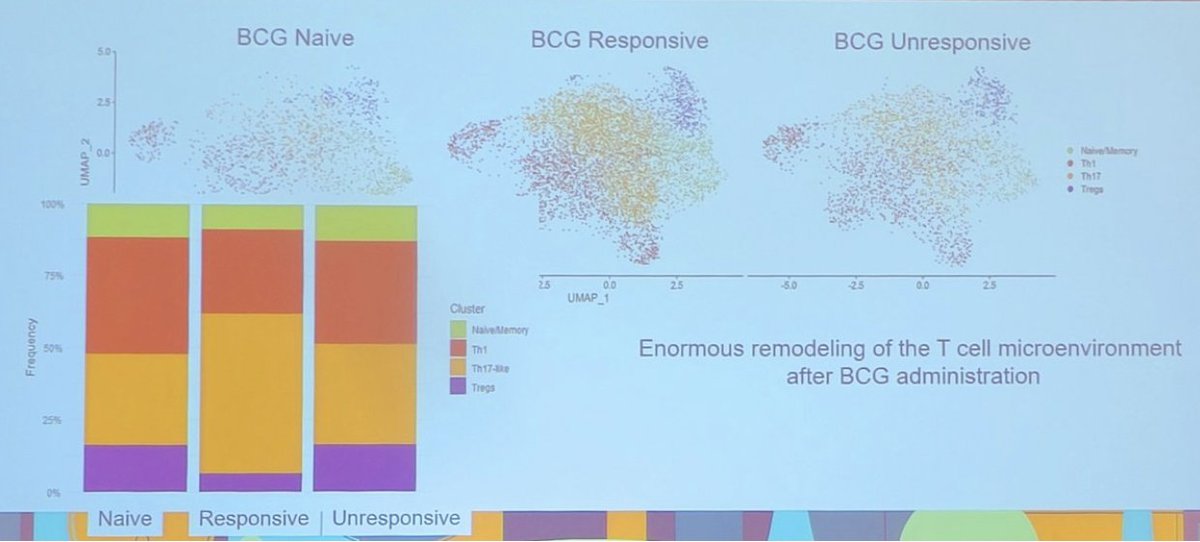 NM Urology (@nm_urology) on Twitter photo The 2025 #AUA annual meeting featured the IBCG Bladder Cancer Forum evaluating common problems and controversies in bladder cancer, with a debate between Joshua Meeks, MD, PhD (<a href="/JoshMeeks/">Joshua Meeks</a>) and Benjamin Pradere, MD (<a href="/BenjaminPradere/">Benjamin Pradere</a>), discussing balancing BCG with new and emerging The 2025 #AUA annual meeting featured the IBCG Bladder Cancer Forum evaluating common problems and controversies in bladder cancer, with a debate between Joshua Meeks, MD, PhD (<a href="/JoshMeeks/">Joshua Meeks</a>) and Benjamin Pradere, MD (<a href="/BenjaminPradere/">Benjamin Pradere</a>), discussing balancing BCG with new and emerging
