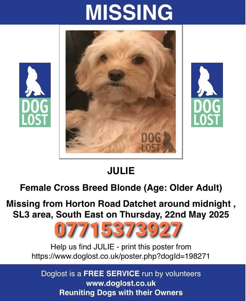 🐕 JULIE went missing around midnight at Horton Road #Datchet #SL3 22 May 2025
Julie is an older girl and she is chipped ! Do not chase if seen- please just contact owner asap.
