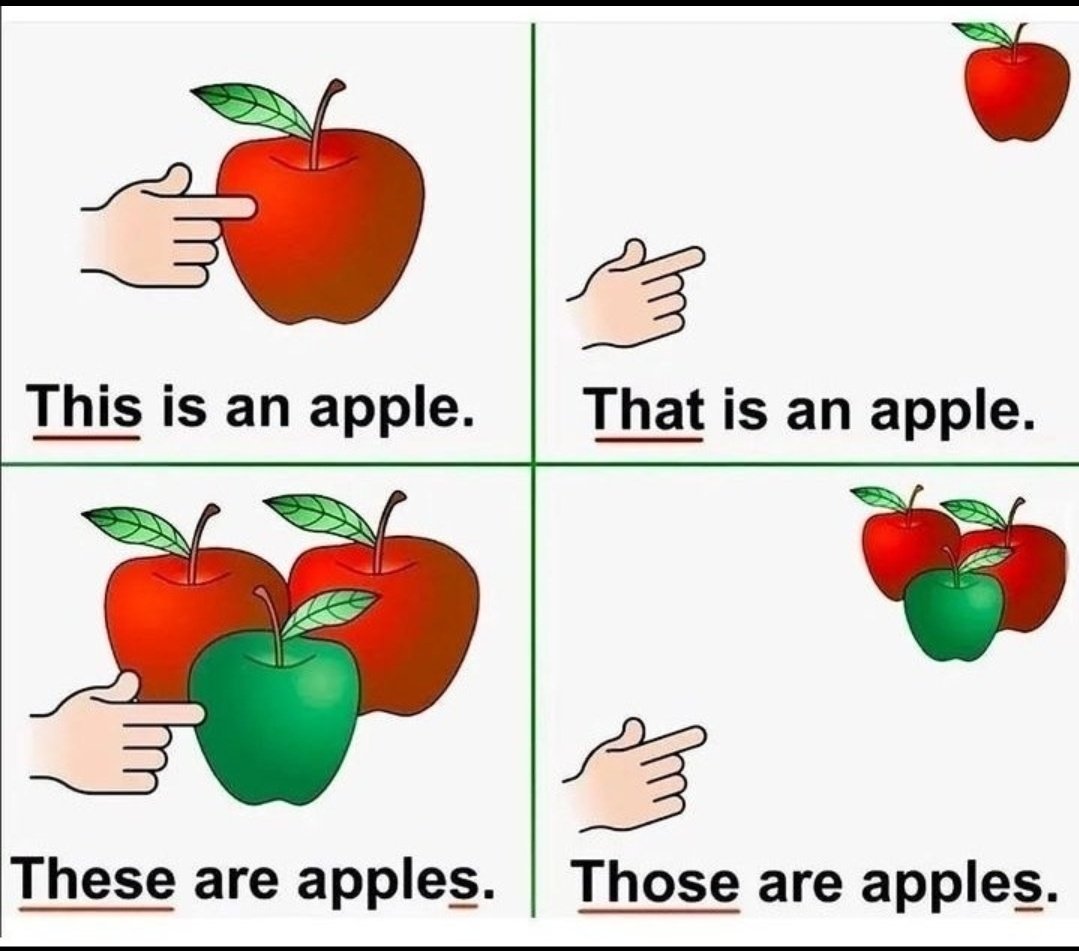 Pronouns.
