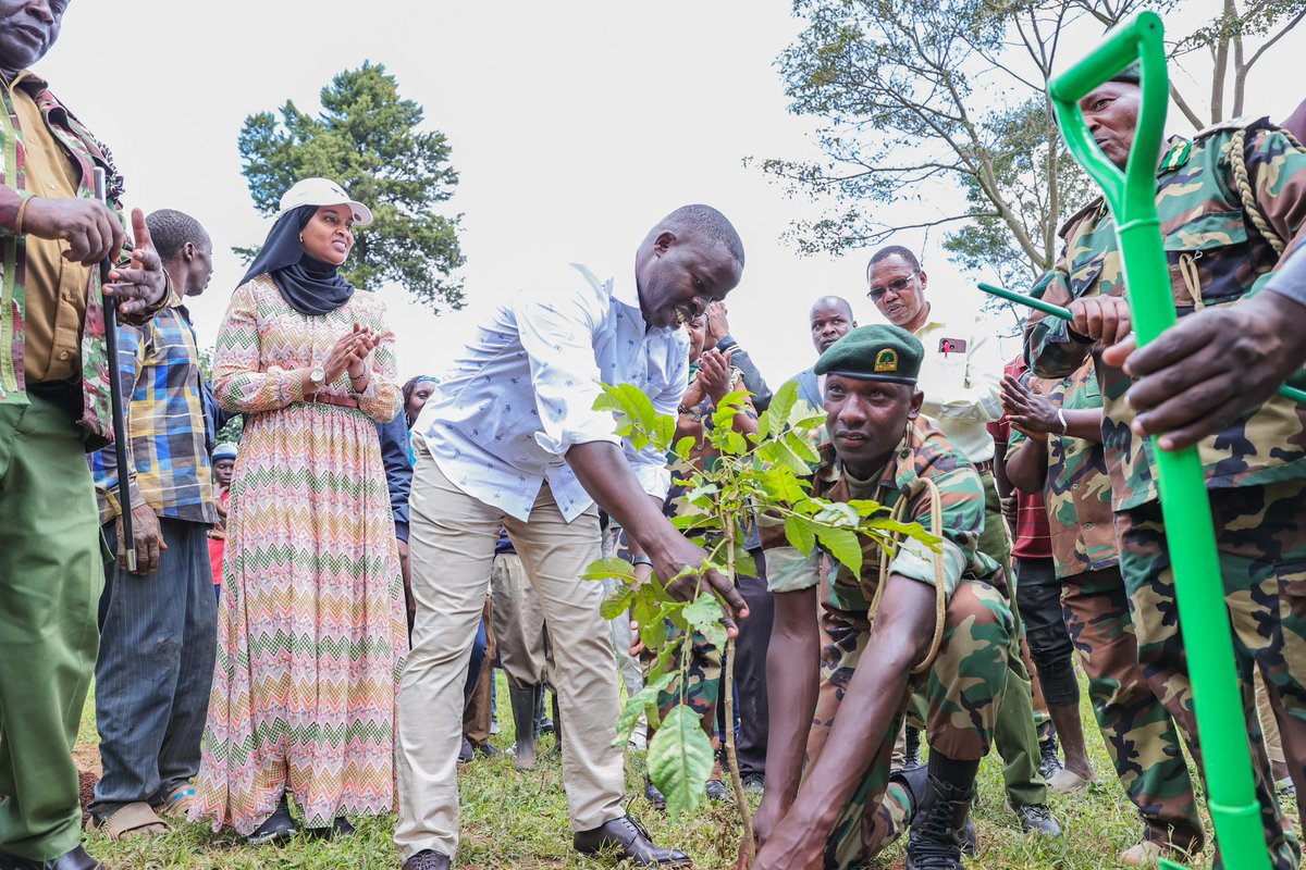 Ummi Bashir, CBS (@ummimbashir) on Twitter photo This afternoon, I was delighted to join H.E Hon. <a href="/Araap_Sang/">Stephen Sang, EGH</a> , the Governor of Nandi county for a tree-planting exercise at Kobujoi, Aldai constituency. This exercise is part of the Green Culture Movement initiative, a commitment that aligns with the 15 billion trees planting This afternoon, I was delighted to join H.E Hon. <a href="/Araap_Sang/">Stephen Sang, EGH</a> , the Governor of Nandi county for a tree-planting exercise at Kobujoi, Aldai constituency. This exercise is part of the Green Culture Movement initiative, a commitment that aligns with the 15 billion trees planting