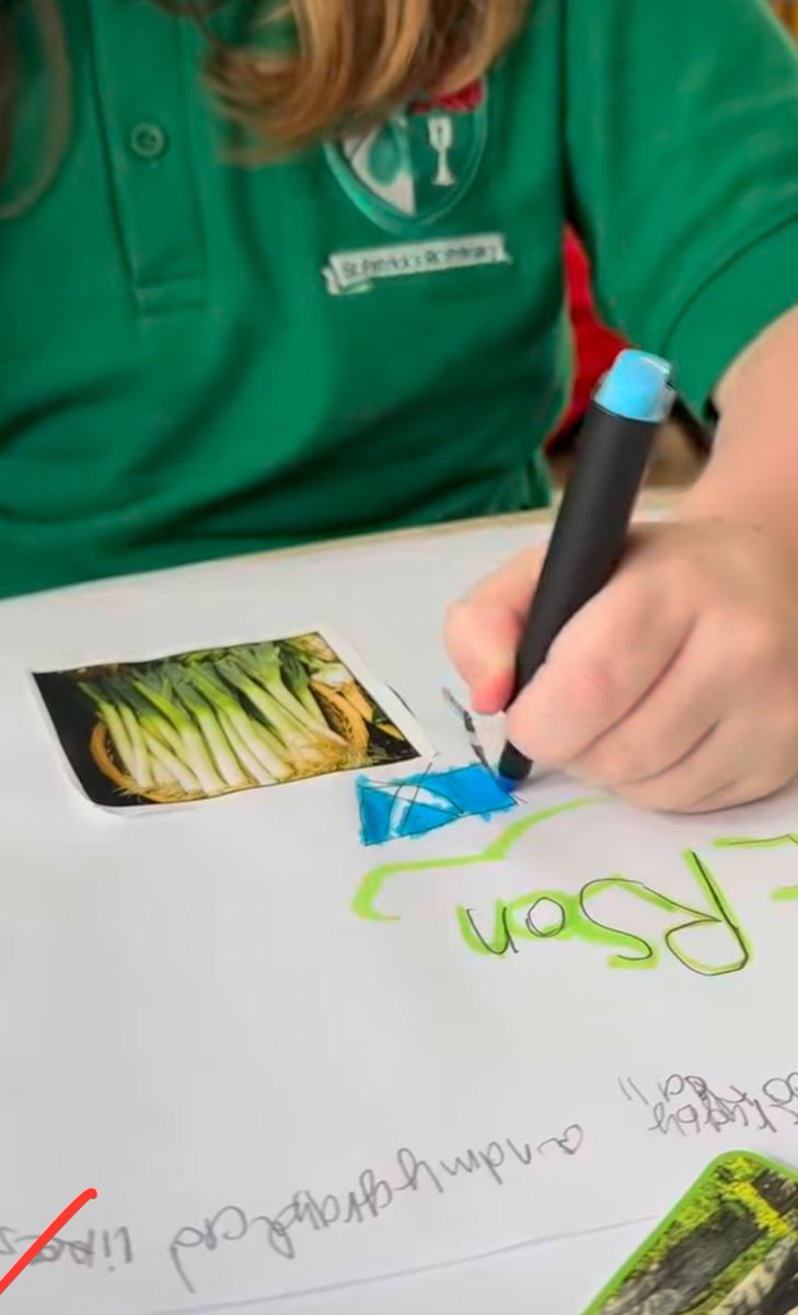 St Patrick's RC Primary School tweet media