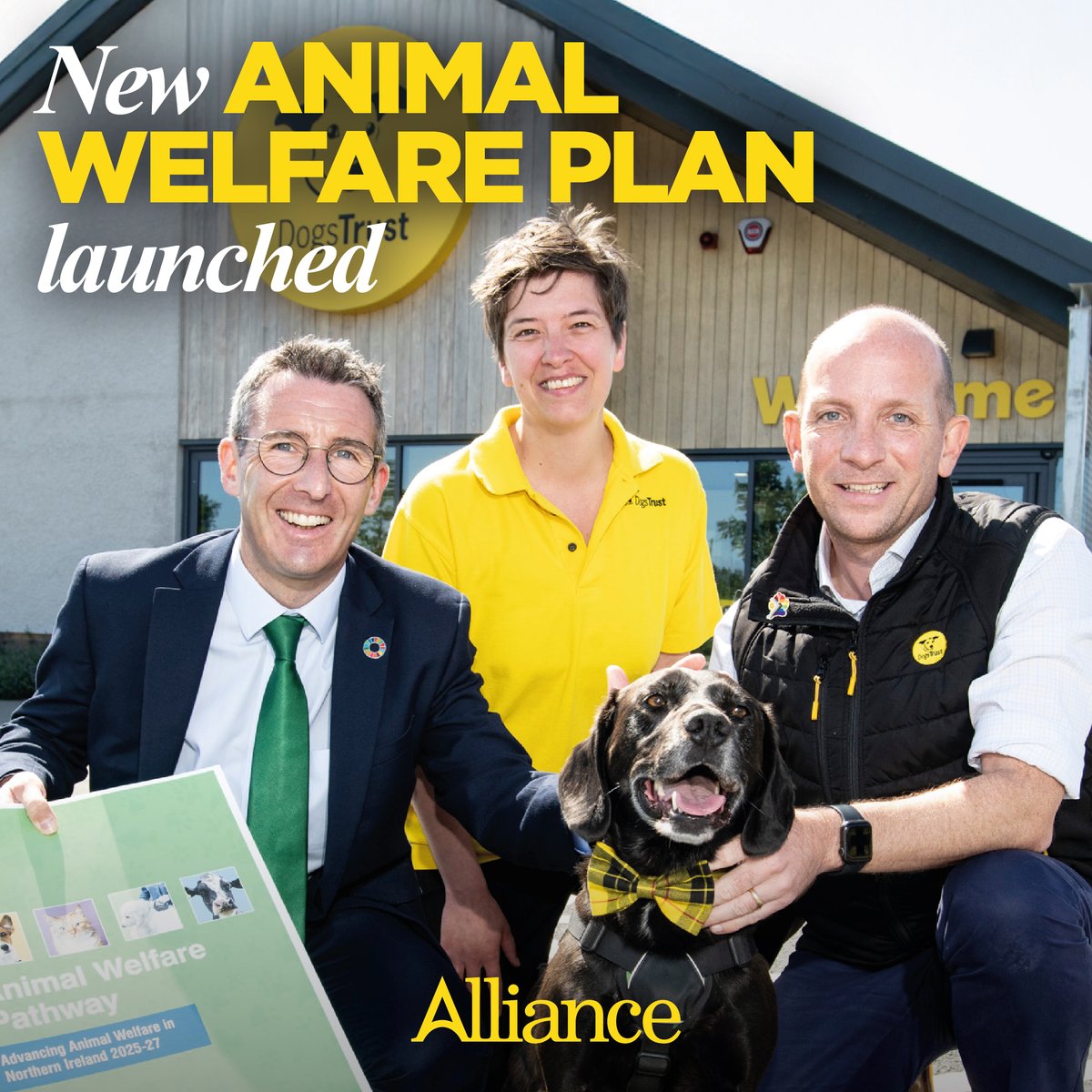 Alliance Party (@allianceparty) on Twitter photo Animal welfare organisations have backed Alliance Minister <a href="/AndrewMuirNI/">Andrew Muir MLA</a>'s new strategy.
His ambitious 10-point plan published today aims to improve animal welfare through a series of powerful reforms. 🐶 Animal welfare organisations have backed Alliance Minister <a href="/AndrewMuirNI/">Andrew Muir MLA</a>'s new strategy.
His ambitious 10-point plan published today aims to improve animal welfare through a series of powerful reforms. 🐶