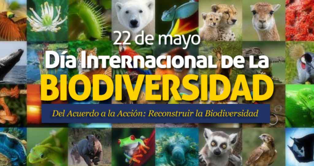 Bella biodiversidad que debemos atesorar, proteger, cuidar; porque es defender la vida en el planeta. #CubaPorLaVida