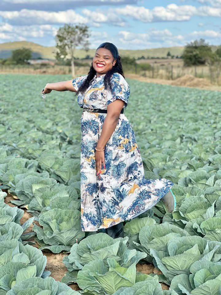 Cabbage Production <a href="/yofavagronomist/">🦄 Agronomybae -IPM Queen👸</a>