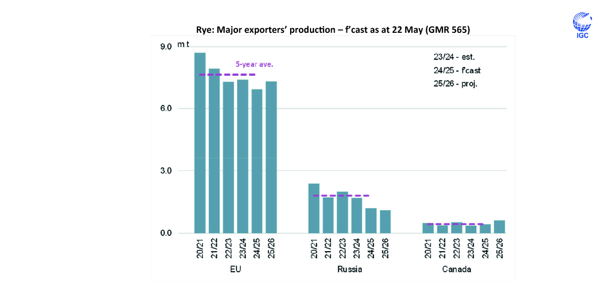 Amid prospects for a recovery in average #yields, global #rye production in 2025/26 is predicted to rise y/y, mainly led by a rebound in the #EU.