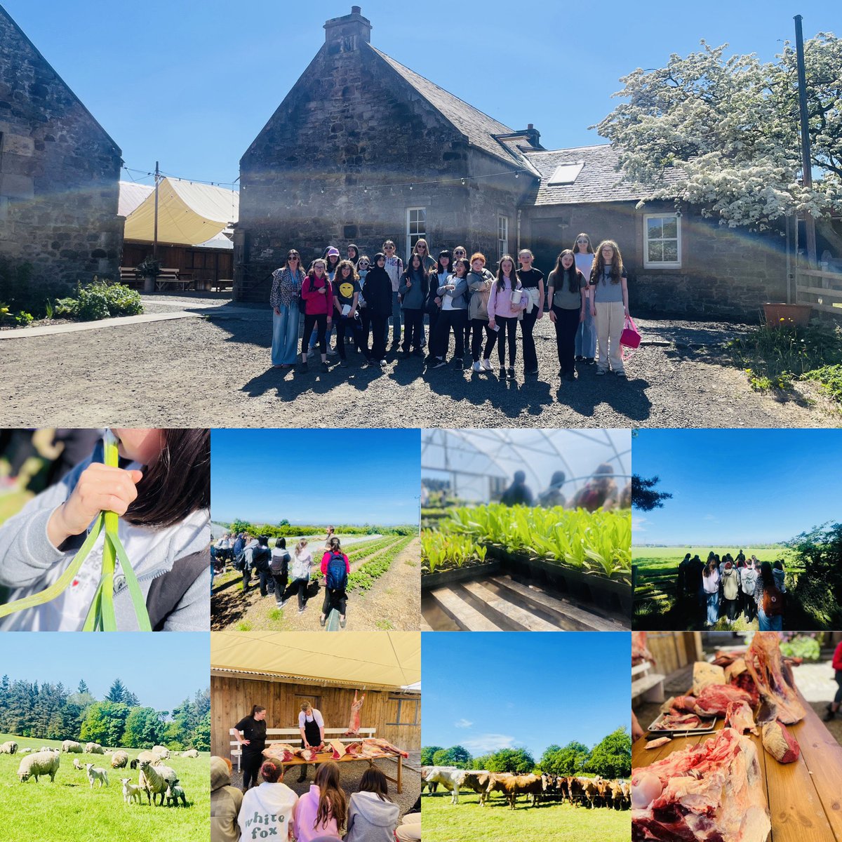 ☀️Free Company trip - fascinating! Regenerative sustainable organic farm-to-plate philosophy. Tour of restaurant, kitchen, live stock in the biodiverse fields, beautiful veg gardens. We saw busy bees in apiary, patted the sheepdogs, ate raw garlic &amp; even got a butchery demo! ☀️