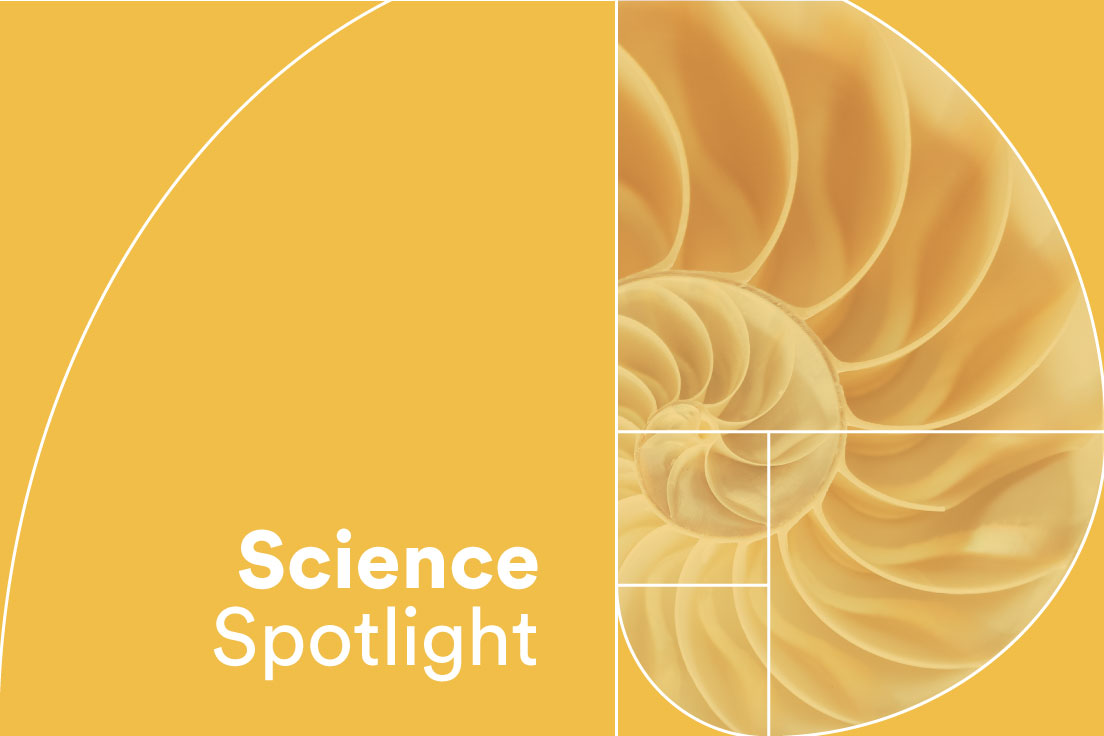 CochlearUS's tweet image. How much does electrode array design really impact #cochlearimplant #outcomes? Check out this study from Columbia University to find out: bit.ly/3FftJmm