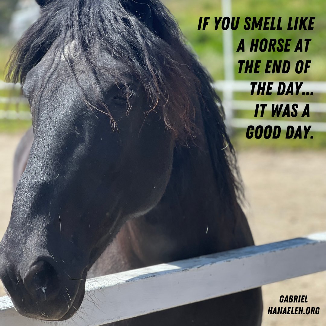 Hanaeleh (@hanaeleh) on Twitter photo 