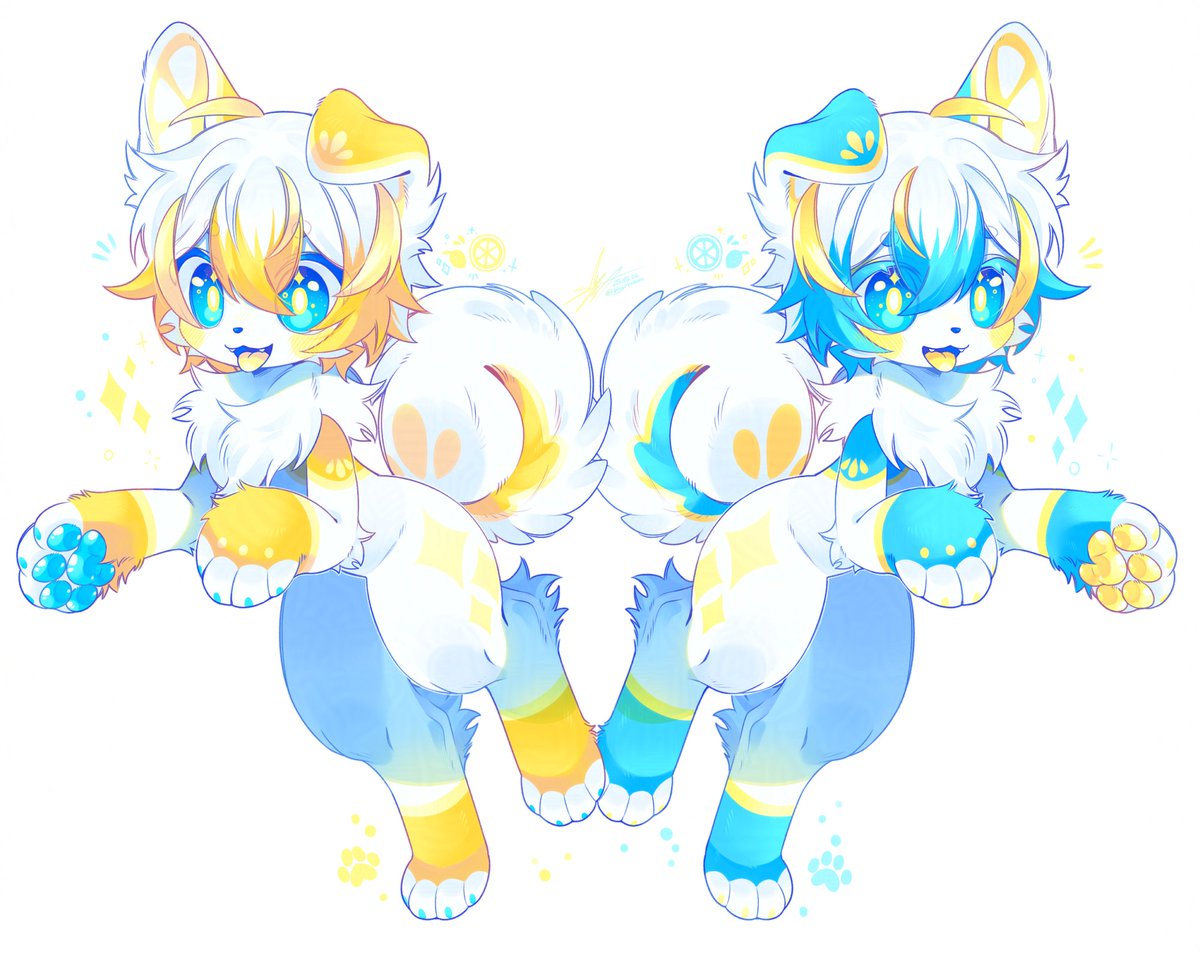 💛🍋🐶💙