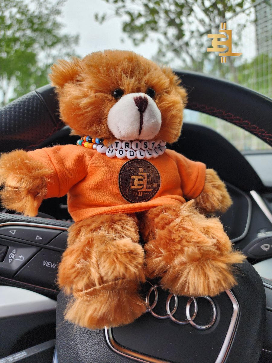 Billy, The Billion Dollar Bear
#ihodllife #crypto #theonlycryptobrand