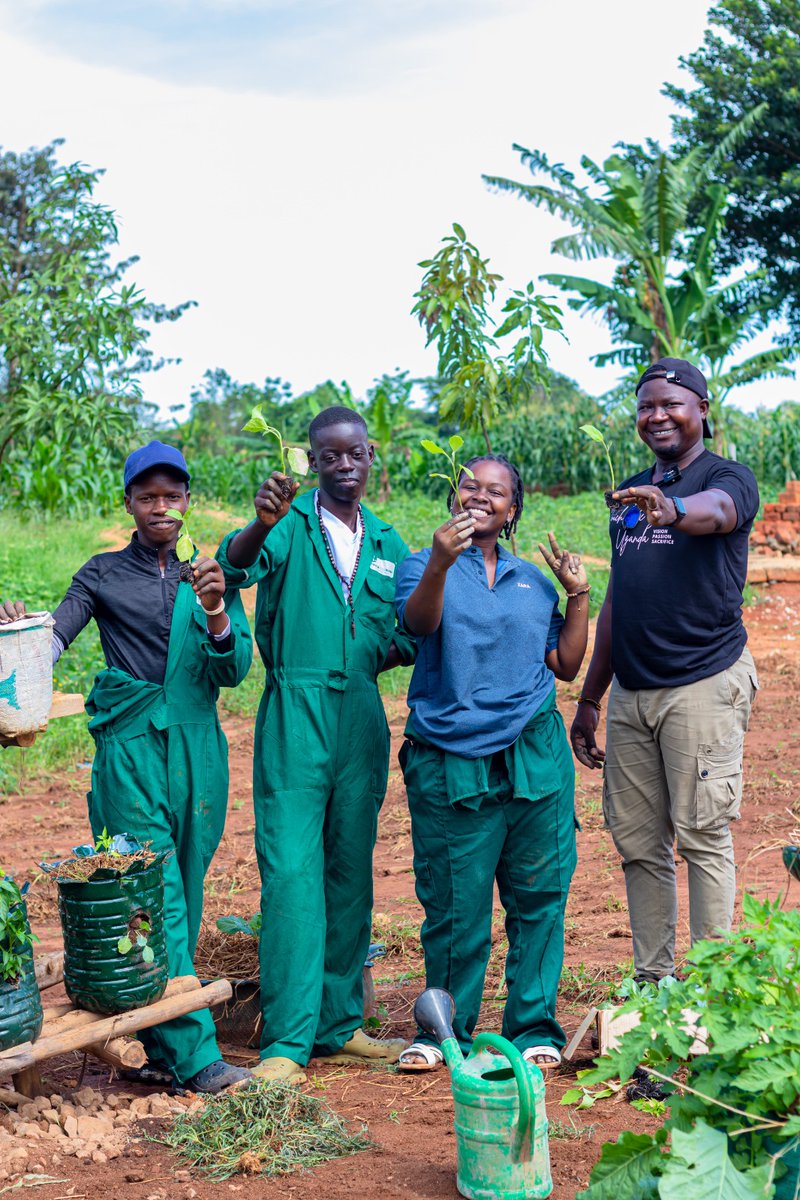TouchTheSlumUG's tweet photo. The young men on this project have faced hard times like drug  abuse and bad behavior. Now, they’re not just planting seeds but also rebuilding trust, teamwork, and hope. #TouchTheSlum #Namuwongo #TenEighteen #ModelFarm #YouthForYouth #RehabilitationThroughGarden #YouthLedChange https://t.co/iEfryhHnKr