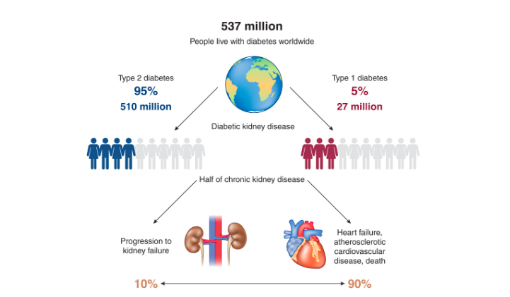 SENefrologia's tweet photo. 🔥Diabetic Kidney Disease by Drs. Juan F. Navarro and Jose Luis Górriz @jlgorriz #NephSAP @ASNKidney @asnpublications https://t.co/2ZIyOwCFok
🔥Lo último en ERD ahora también en vídeo durante la Reunión de Grupo #GEENDIAB, explicado por los autores: https://t.co/YTdwXOZyLo https://t.co/GVUtB2plb6