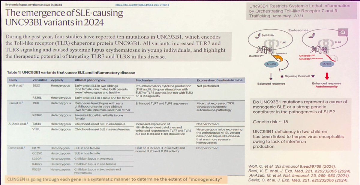 Janet Pope (@janetbirdope) on Twitter photo Is #lupus all in your genes 🧬?
#SLE is not #monogenic
‘Take with grain of salt’ for monogenetic SLE’ we heard at
👇
Year in Review #LUPUS2025
Genetics are an orchestra and
1 mutation in genome is but a single instrument
<a href="/RheumNow/">Dr. John Cush</a> Is #lupus all in your genes 🧬?
#SLE is not #monogenic
‘Take with grain of salt’ for monogenetic SLE’ we heard at
👇
Year in Review #LUPUS2025
Genetics are an orchestra and
1 mutation in genome is but a single instrument
<a href="/RheumNow/">Dr. John Cush</a>