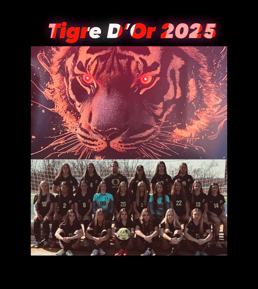 Veste Doree✨
Golden Jacket Award
Match MVPs
Final Week
~
Izzy Paluczak #6
Lafayette 
~
Ceci Colombo #99
Eureka
~
Capt. Katie Tomiser #00
Districts Round One
Lindbergh 
~
WAOS
District Quarterfinals 
Cor Jesu
~
We Are Oakville Soccer
~
#soccer #mvp #tigredor #waos