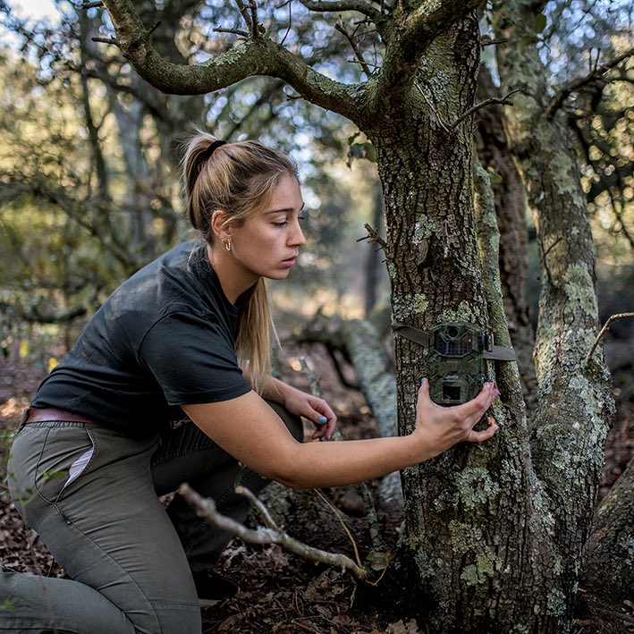📝 Pren nota! Demà tindrà lloc la jornada tècnica "Dones al capdavant del bosc: formació, planificació i gestió".

📍On? La Solana. Centre de Formació Forestal Especialitzada.

🙋🏻‍♀️ Inscripcions obertes a ruralcat.gencat.cat/web/guest/tran…