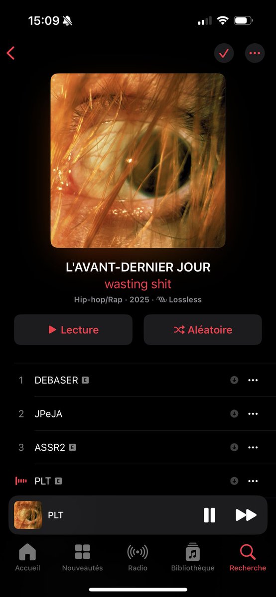 Dispo 🦇