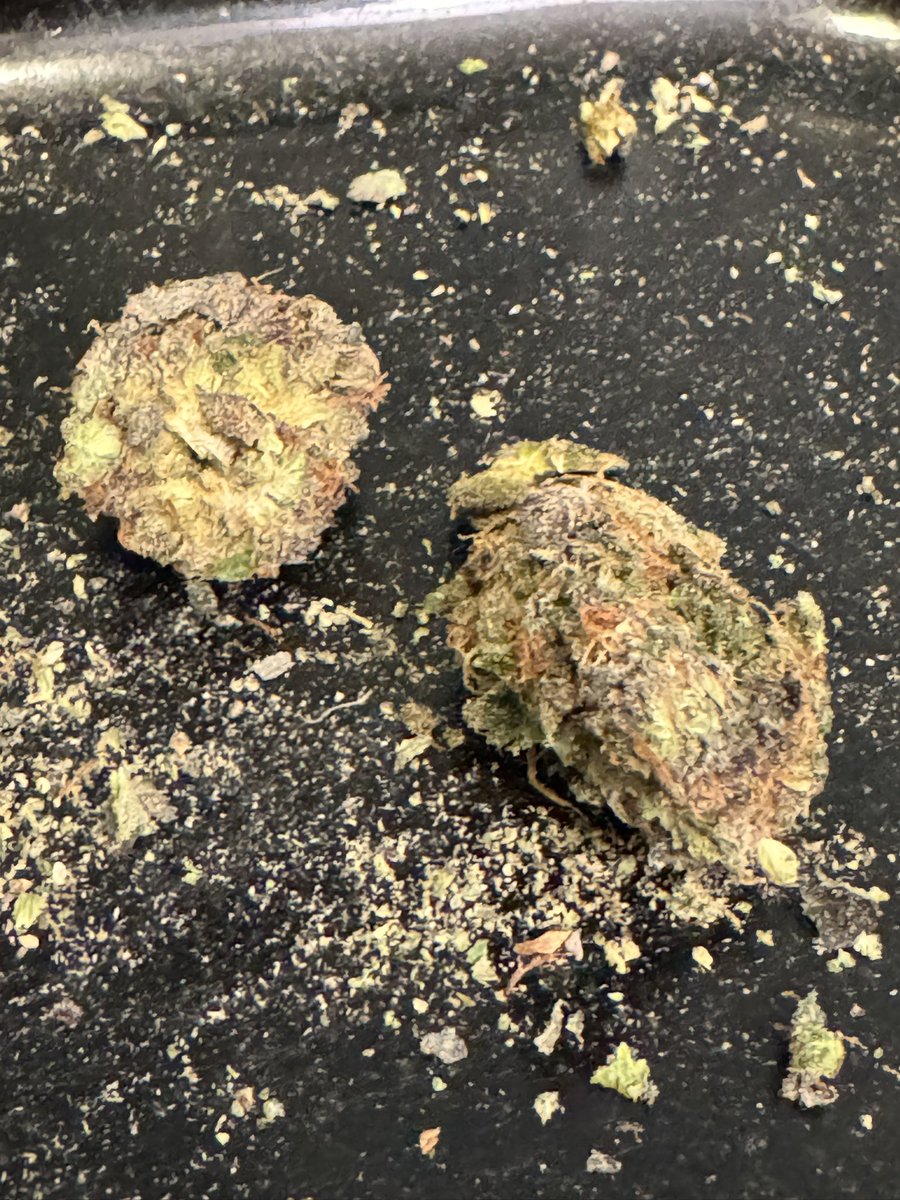 My #bluegusher homegrown. Fire. Smells good, tastes good, super dense and sticky as all can get. Love my grows. #growyourown