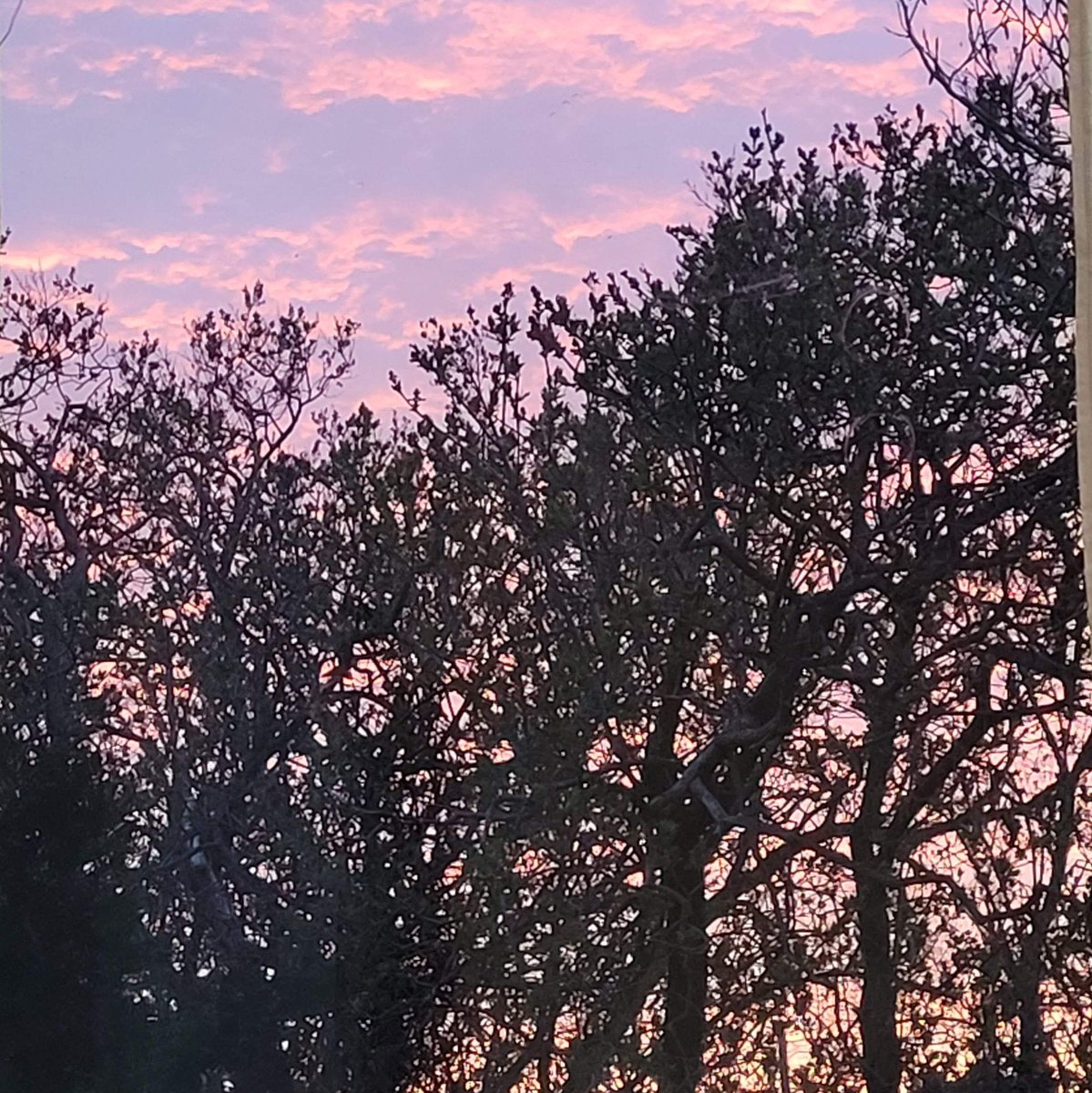 Day 2: #CAG2025. How easy the conference theme Confluence runs through presentations. We can work fast alone but further together. Nice to see research from both my alma maters (YorkU &amp; SMU). Remote Sensing and Mapping supports so much of our lived experiences. #NRCanSci #EO4CE