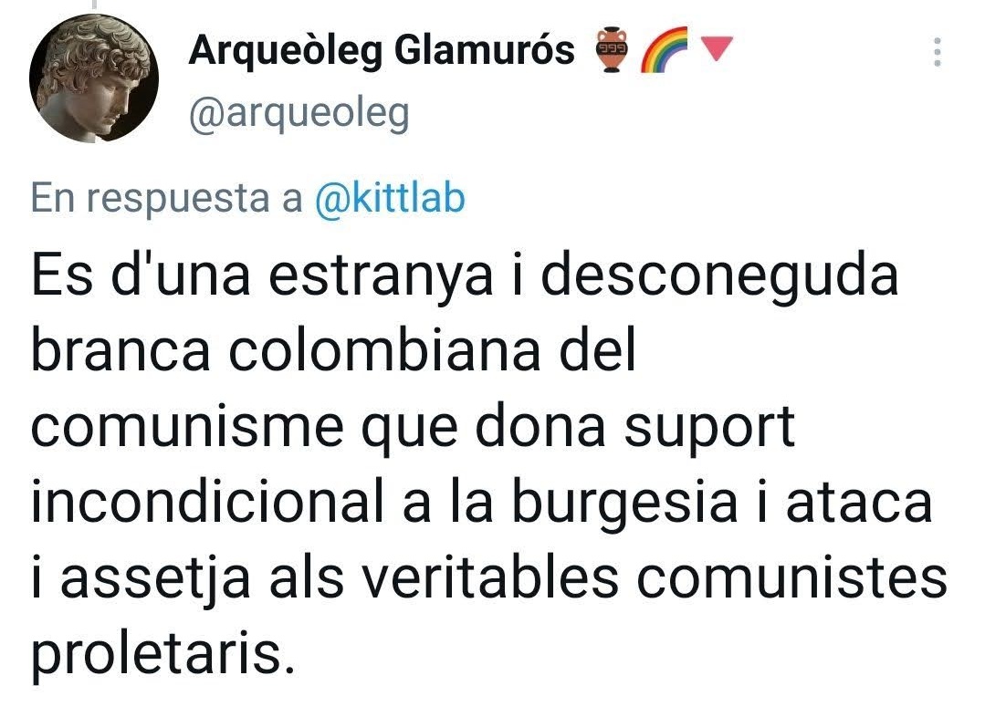 succeDani tweet media