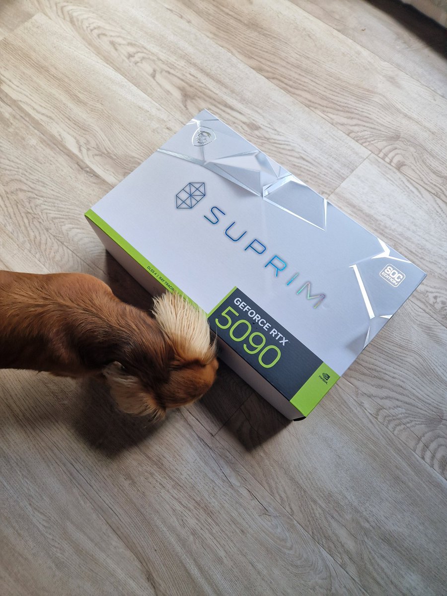 Guess what's the most expensive thing in my house?