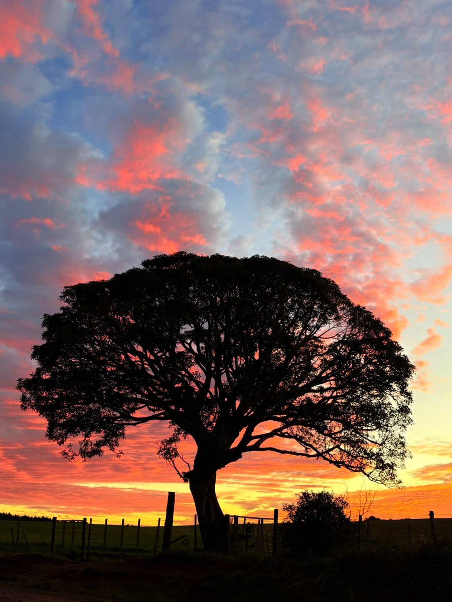 🌅 Atardecer en Oratorio.
~
~
📷 <a href="/zeballossceli/">Celina Zeballos</a> 
~
~
🌳 #Oratorio 
☀️ #Rocha
🇺🇾 #Uruguay
~
~
⛵️ #EAR