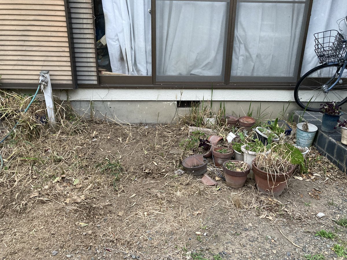 ドスンドスン音がすると思ったら、父がいつの間にか現れてサボテンの根を小さくしていたよ
とりあえずこれで梅雨前に全部片付けられる
あとは植木鉢たちだなー...捨てるか活かすか
先は長い～🥹