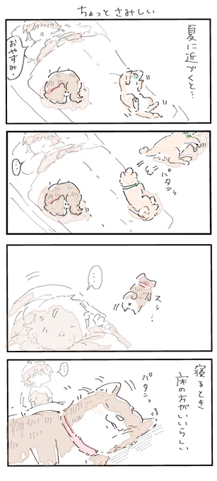 #4コマ漫画 #柴犬
ちょっとさみしい 