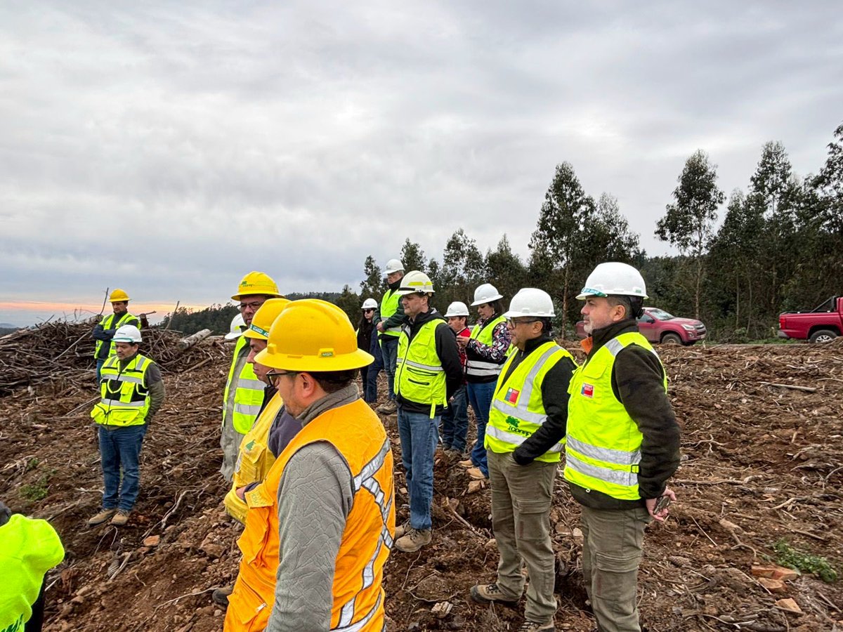 CONAFBiobio's tweet photo. Nuestro equipo regional de #Fiscalización realizó una visita a distintos predios de empresas, con el fin de verificar el cumplimiento de la legislación forestal vigente. 

La iniciativa se llevó a cabo en el marco de la Mesa de Fiscalización #Conaf-#Corma. https://t.co/nx28PIsLIL