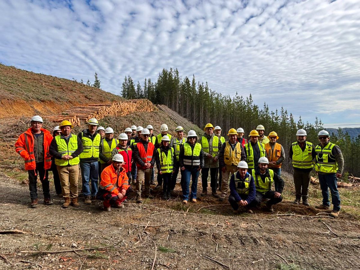 CONAFBiobio's tweet photo. Nuestro equipo regional de #Fiscalización realizó una visita a distintos predios de empresas, con el fin de verificar el cumplimiento de la legislación forestal vigente. 

La iniciativa se llevó a cabo en el marco de la Mesa de Fiscalización #Conaf-#Corma. https://t.co/nx28PIsLIL